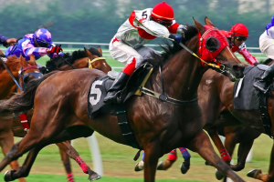 5 Horse racing tips for 2024