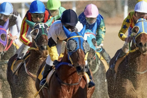 Australia’s thoroughbred industry gallops ahead: A world leader in racing and breeding