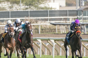 The evolution of horse racing: From tradition to innovation