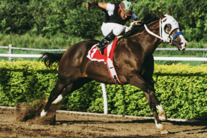 The unstoppable global gallop of horse racing