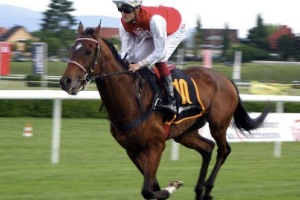 How international betting markets shape modern horse racing