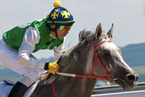 Horse racing and its impact on local communities: economic and social benefits