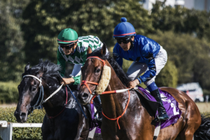 Taxation and economic impact of horse racing wagering in 2026